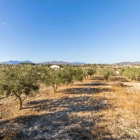Olivos